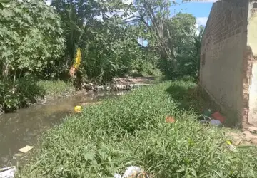 Criança é mordida por jacaré quando brincava de bola perto de um riacho em Arapiraca, AL
